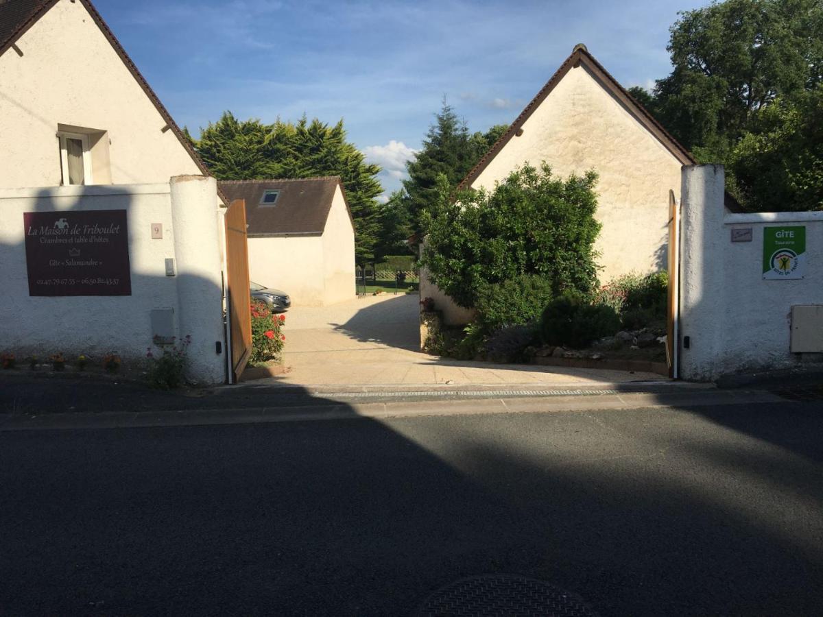 La Maison De Triboulet Chambres Et Table D'Hotes -Amboise- Pocé-sur-Cisse 외부 사진